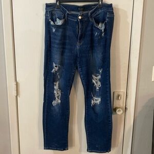 Judy Blue plus size denim